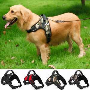 Heavy Duty Dog Harness Collar 🐕 - Red Panda Market