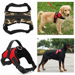 Heavy Duty Dog Harness Collar 🐕 - Red Panda Market