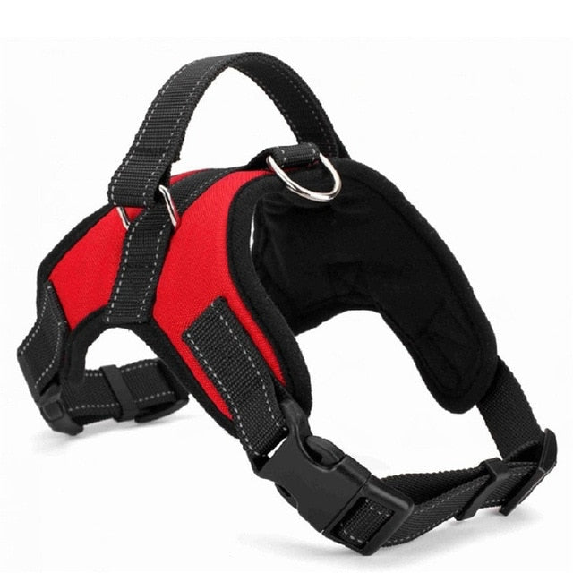 Heavy Duty Dog Harness Collar 🐕 - Red Panda Market