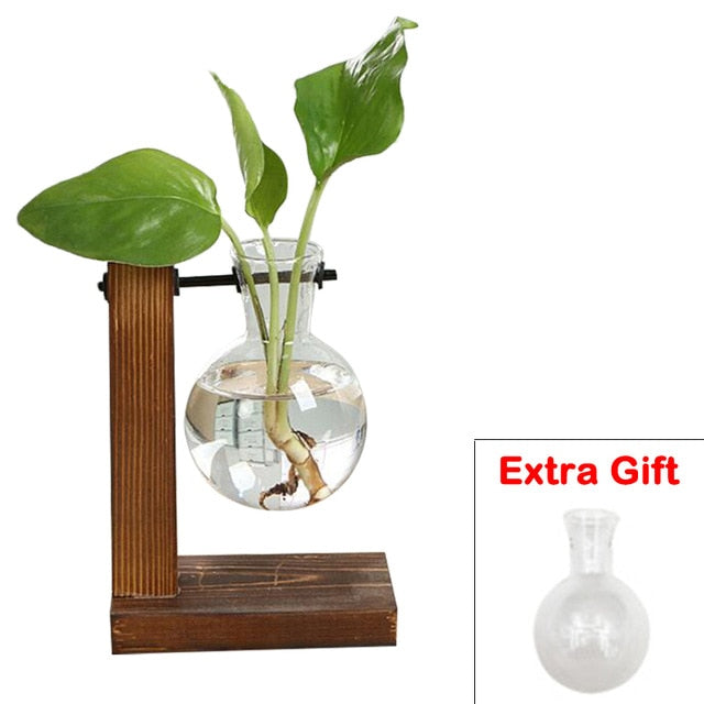 Hydroponic Plant Vase 🌱 - Red Panda Market